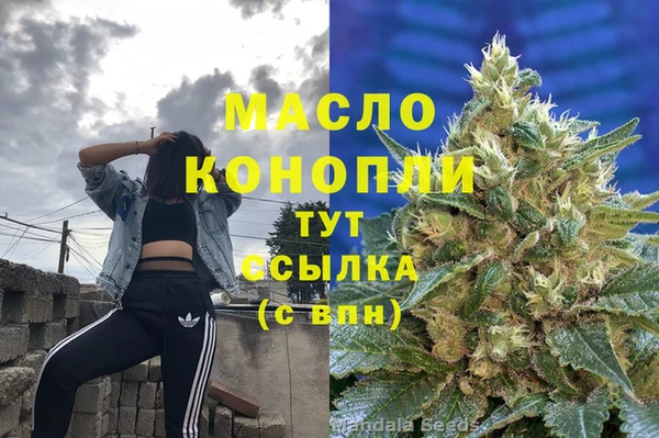 индика Абдулино