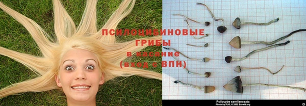 дистиллят марихуана Абаза