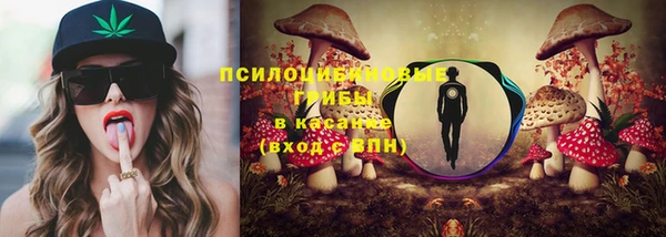 индика Абдулино